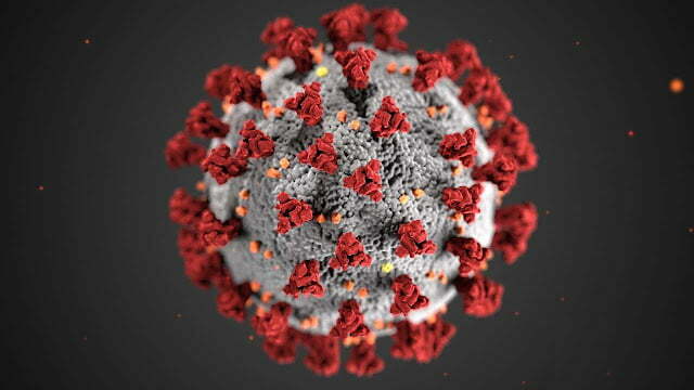 coronavirus