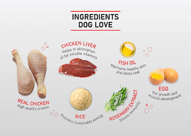 Food Sample For Dog/Cat